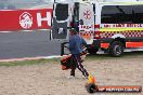 Bathurst 1000 2008 - Bathurst-20081011_0223